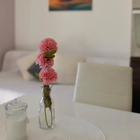 Apartman Bane Dvori *