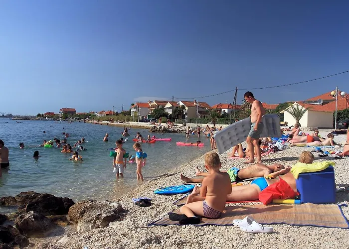 Bane Dvori * Bibinje